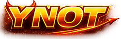 Ynot.com